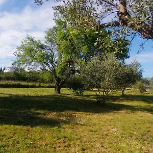 https://sm-camping.hotelinzadar.com